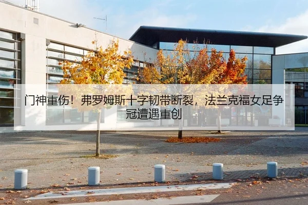 门神重伤！弗罗姆斯十字韧带断裂，法兰克福女足争冠遭遇重创