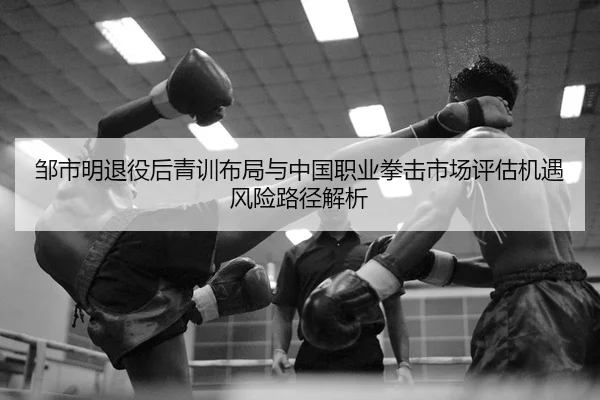 zou-shi-ming-tui-yi-hou-qing-xun-bu-ju-yu-zhong-guo-zhi-ye-quan-ji-shi-chang-ping-gu-ji-yu-feng-xian-lu-jing-jie-xi-2-738.jpg